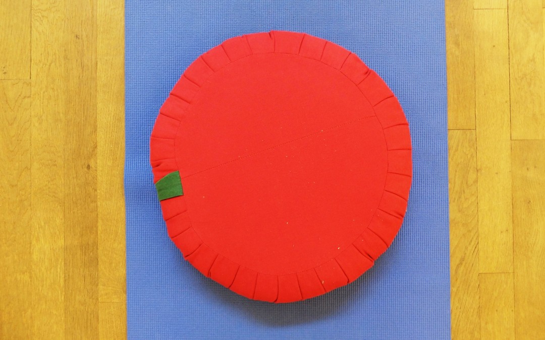 coussins Cours stages Yoga hatha exercices posture yogamanjali filla brion Paris 20