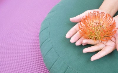 Samedi 14 novembre, cours de yoga annulé