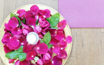 Vacances d’hivers,