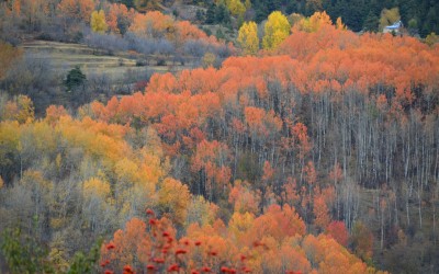 Vacances de la Toussaint