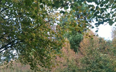 Vacances de la Toussaint