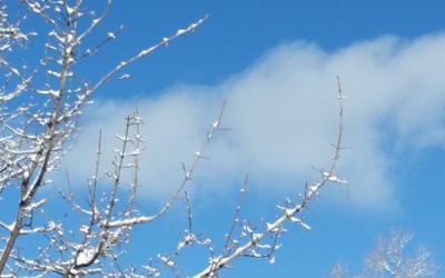 Vacances d’hiver du 24 décembre 2017 au Lundi 8 janvier 2018